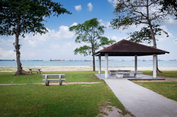 Lagoon View (D15), Apartment #489301171